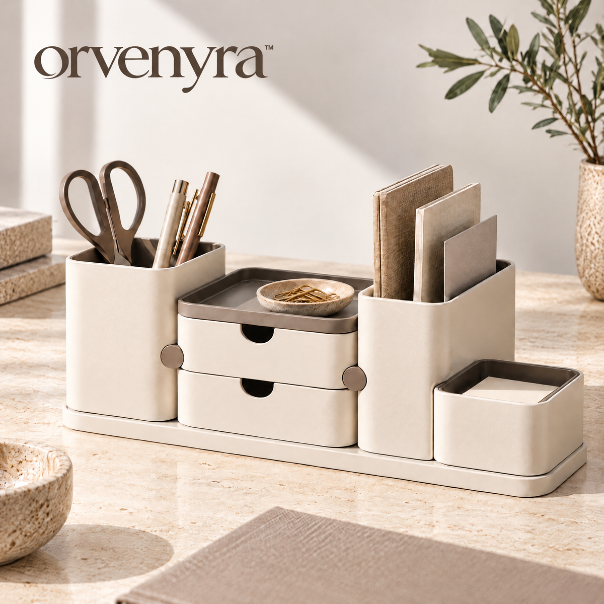 Orvenyra™ Multi-Compartment Desktop Organizer